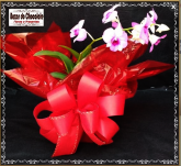a-Orquídea Pequena