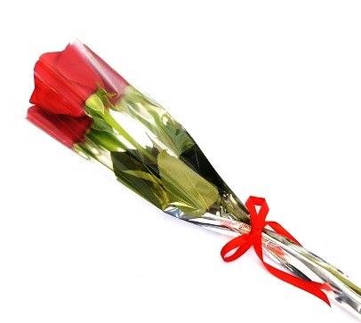 a- Botao de Rosa Natural com Laço