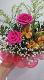 a-Arranjo Pink