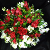 a3-Arranjo de mesa com Austroemeria