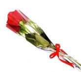 a- Botao de Rosa Natural com Laço