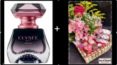 l-Coraçao Rustico Esposa + Colônia Elysée Nuit