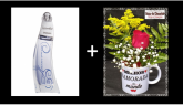 l-Caneca Namorada + Colônia Accordes Harmonia