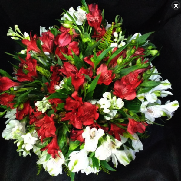 a3-Arranjo de mesa com Austroemeria